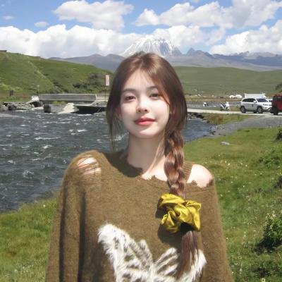 钢铁力士